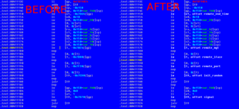 sample image showing the difference of the asm listing before and after running the plugin